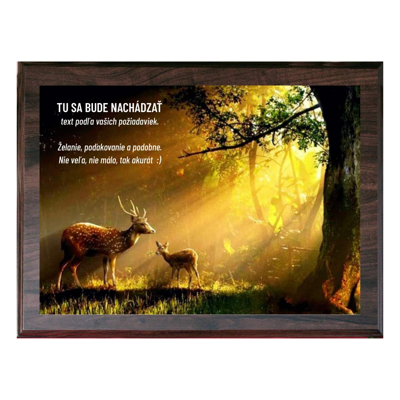 Plaketa pre poľovníkov 14