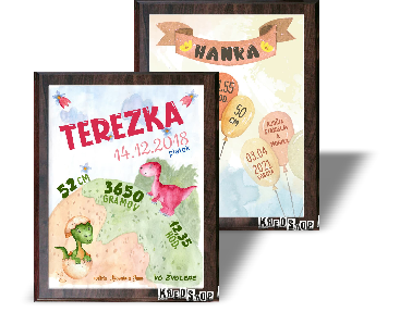Dievčenské plakety Dievčenské plakety