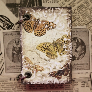 Malý zápisník - Vintage Motýle 01