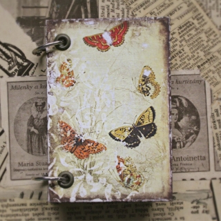 Malý zápisník - Vintage Motýle 02
